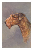 Airedale Terrier Posters