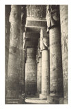Columns at Dendera, Egypt Posters