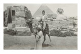 Man in Fez on Camel, Pyramid and Sphinx Posters