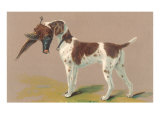 German Short-Haired Pointer with Pheasant Lámina giclée German Short-Haired Pointer with Pheasant Lámina giclée