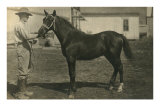 Farmer with Horse Posters