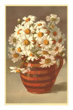Painted Daisies in Pitcher Posters Painted Daisies in Pitcher Posters