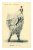 Chanticleer, Man in Chicken Suit Photo