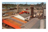 Citrus Packing Plant, Florida Posters