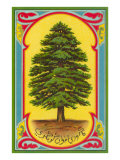 Cedar of Lebanon, Arabic Script Lámina giclée