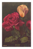Roses Posters