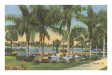 Eola Park, Orlando, Florida Posters