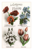 French Language of Flowers Posters