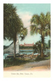 Tampa Bay Hotel, Tampa, Florida Photo
