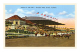 Hialeah Race Track, Miami, Florida Photo