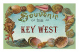 Souvenir from Key West, Florida Photo