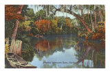 Río Suwannee, Florida Lámina giclée Río Suwannee, Florida Lámina giclée