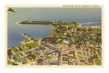 Aerial View of Sarasota, Florida Posters