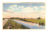 Everglades, Tamiami Trail, Florida Posters