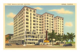 McAllister Hotel, Miami, Florida Posters