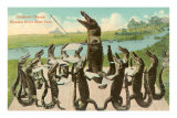 Alligator Chorus, Myakka River State Park, Florida Prints