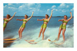 Water Skiers, Florida Posters