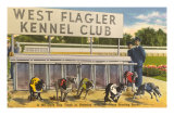 Greyhound Track, Flagler, Florida Fotografía Greyhound Track, Flagler, Florida Fotografía