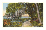 Old Moss Oak, Florida Posters