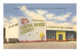 Florida Marine Museum, Ft. Myers, Florida Posters