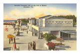 Beach, Sarasota, Florida Posters
