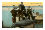 Marsouin remonté sur le bateau, Saint- Petersburg, Floride Posters