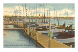 Dock, Key West, Florida Photo