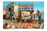 Buying Conch Shells in Key West Posters