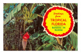 Greeting from Tropical Florida, Banana in Bloom Posters