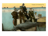 Porpoise on Boat, St. Petersburg, Florida Lámina giclée Porpoise on Boat, St. Petersburg, Florida Lámina giclée