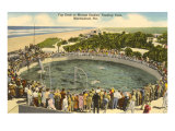 Porpoises Cavoting, Marineland, Florida Lámina giclée Porpoises Cavoting, Marineland, Florida Lámina giclée