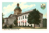 State Capitol, Tallahassee, Florida Posters