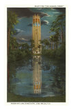 Mountain Lake Sanctuary, Lake Wales, Florida Posters