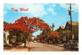 Key West, Florida Posters