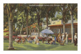 Country Club, Orlando, Florida Posters
