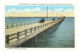 Gandy Bridge, Tampa Bay, Florida Posters