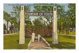 Fountain of Youth, St. Petersburg, Florida Posters