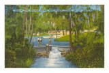 Sanlando Springs, Florida Posters