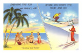 Palmiers et plage vs ski et neige Posters