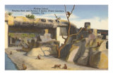 Isla Monkey, Circus Quarters, Sarasota, Florida Lámina giclée Isla Monkey, Circus Quarters, Sarasota, Florida Lámina giclée