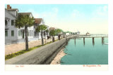 Sea Wall, St. Augustine, Florida Posters