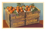 Orange Crate, Florida Posters