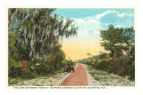 John Anderson Highway, St. Augustine, Florida Posters