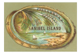 Souvenir from Sanibel Island Photo