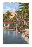 Venetian Pool, Coral Gables, Florida Posters