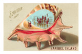 Souvenir from Sanibel Island Posters
