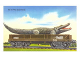 Caimán gigante en remolque, Florida Lámina giclée Caimán gigante en remolque, Florida Lámina giclée