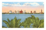 Miami Skyline, Florida Photo