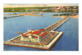 Municipal Pier, St. Petersburg, Florida Posters