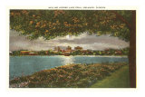 Lake Eola, Orlando, Florida Posters